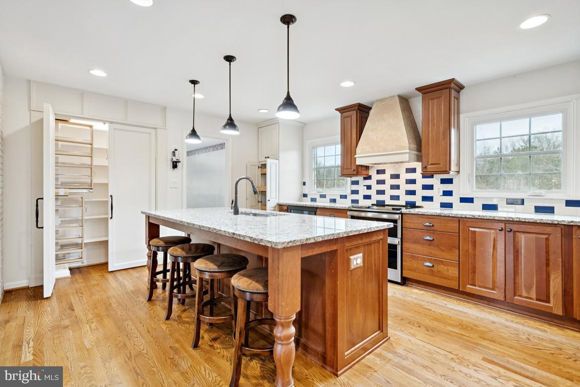 9033 Old Waterloo Road Warrenton, VA 20186 - Photo 8 of 49 Kitchen with Pantry Organizers