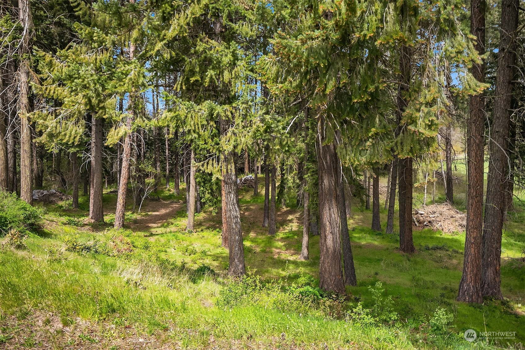 1841 Westside Road Cle Elum, WA 98922 - Photo 29 of 31 Gallery Image 29