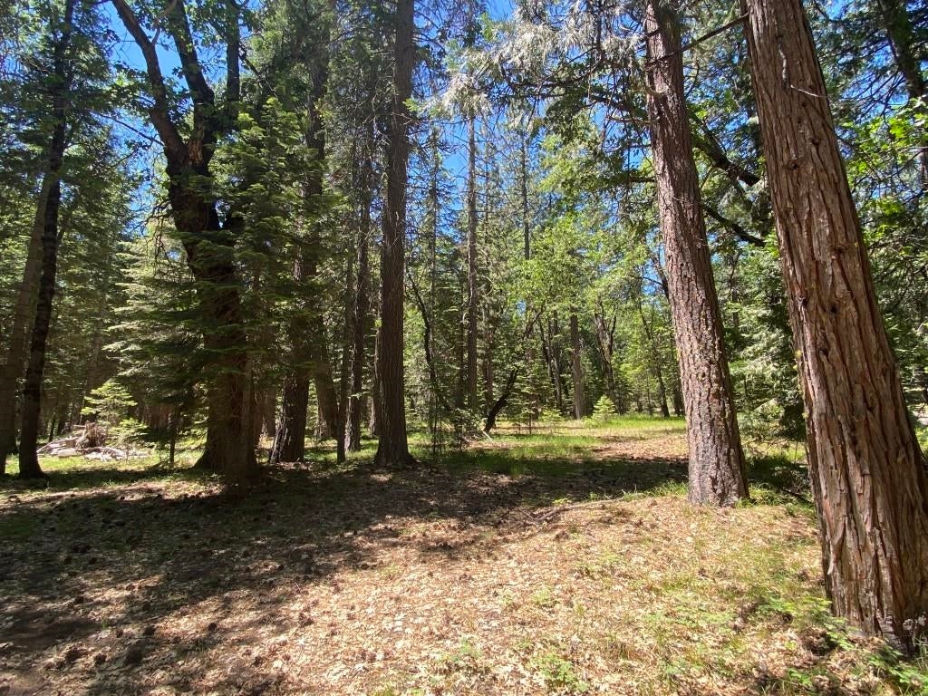 3-e-29 Red Fir Road McCloud, CA 96057 - Photo 8 of 22 Gallery Image 8