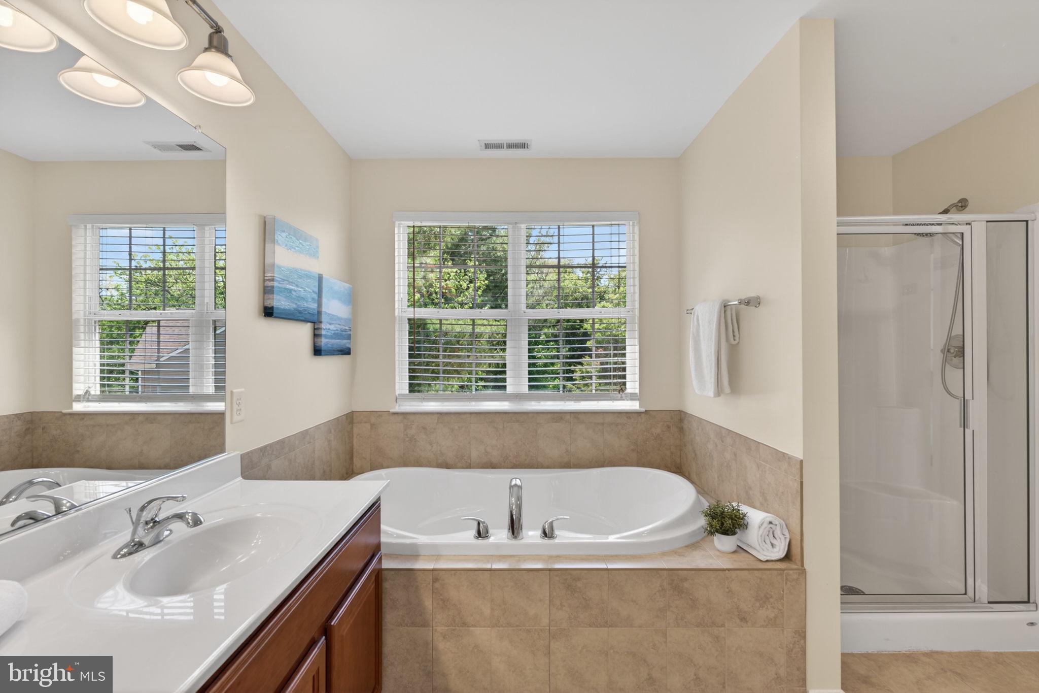 6090 Old Washington Road Elkridge, MD 21075 - Photo 39 of 86 Serene bathroom with natural light.