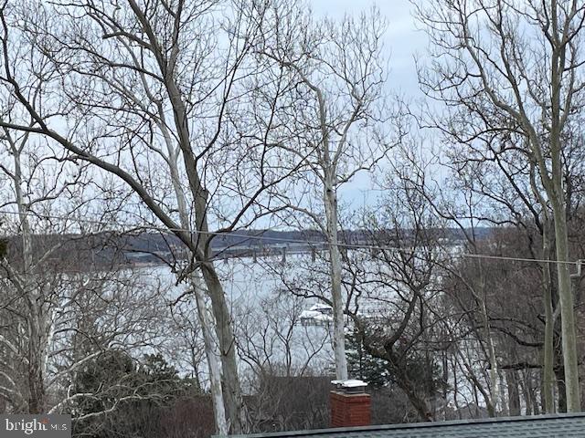 1735 Broadlee Trail Annapolis, MD 21401 - Photo 2 of 65 a backyard of a house with lots of trees