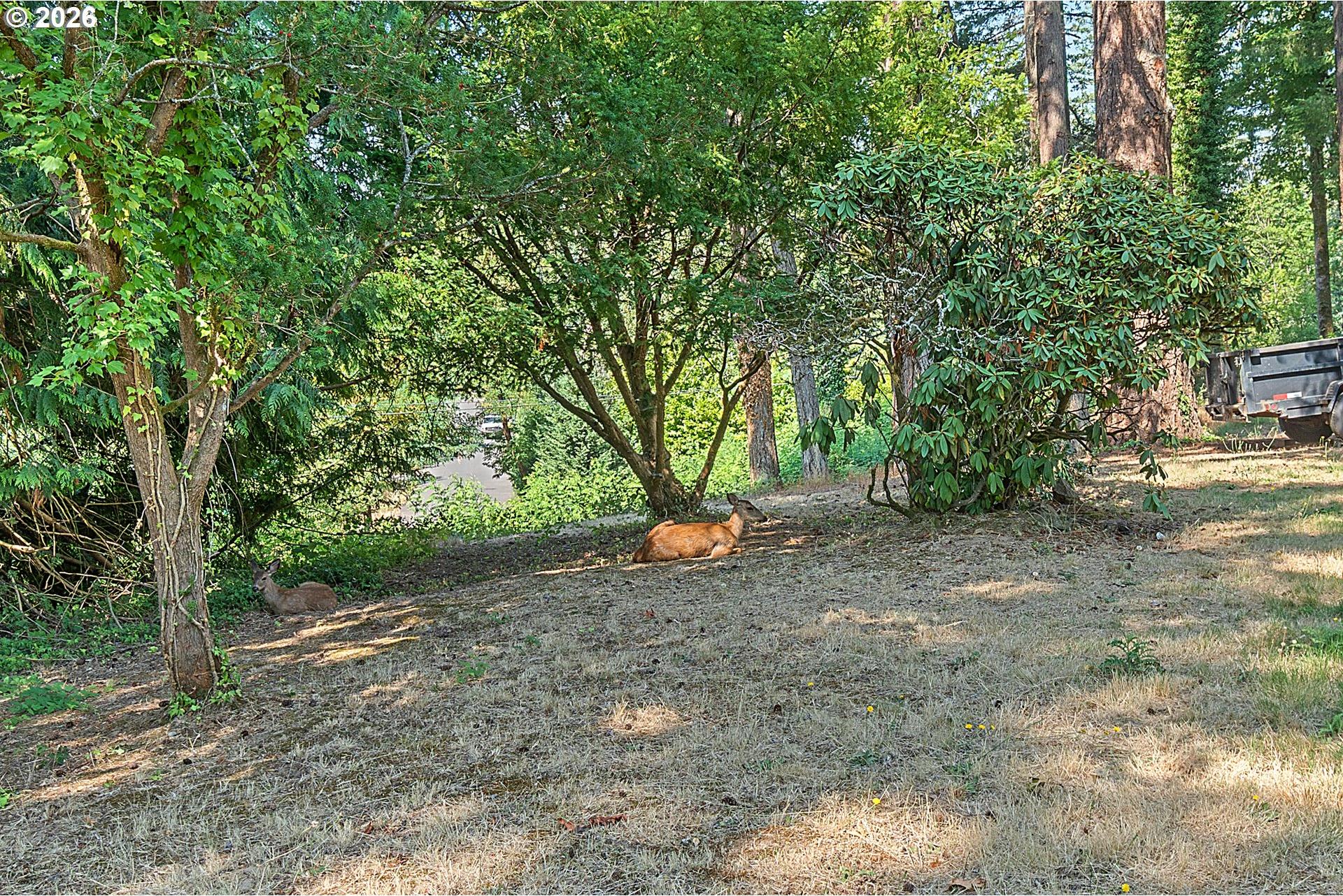 9637 Southwest Spring Crest Drive Portland, OR 97225 - Photo 45 of 47 Gallery Image 45