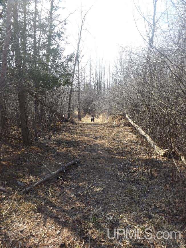 5511 G5 Road Escanaba, MI 49829 - Photo 21 of 30