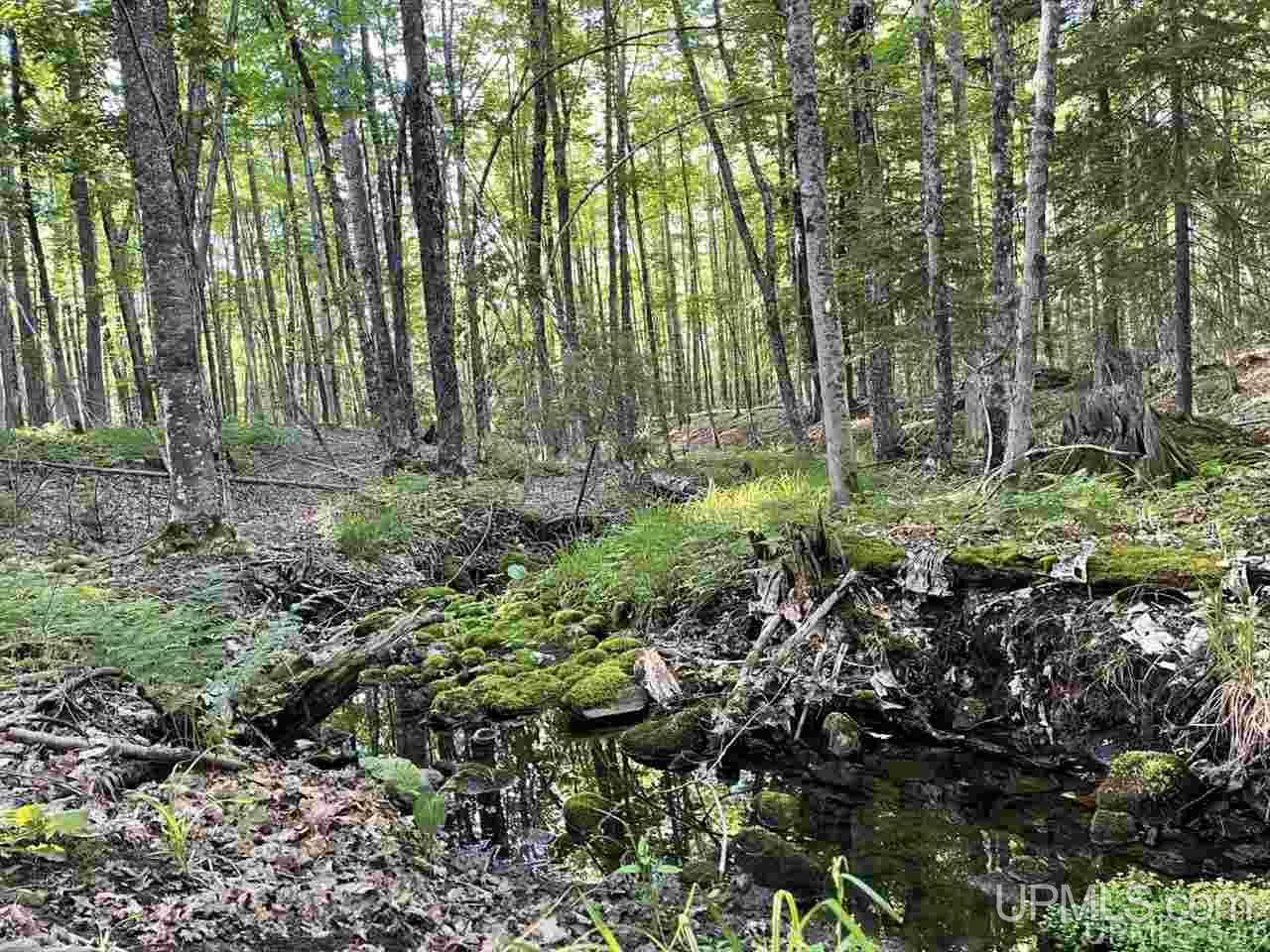 Tbd Tbd Saari Road Lanse, MI 49946 - Photo 16 of 27