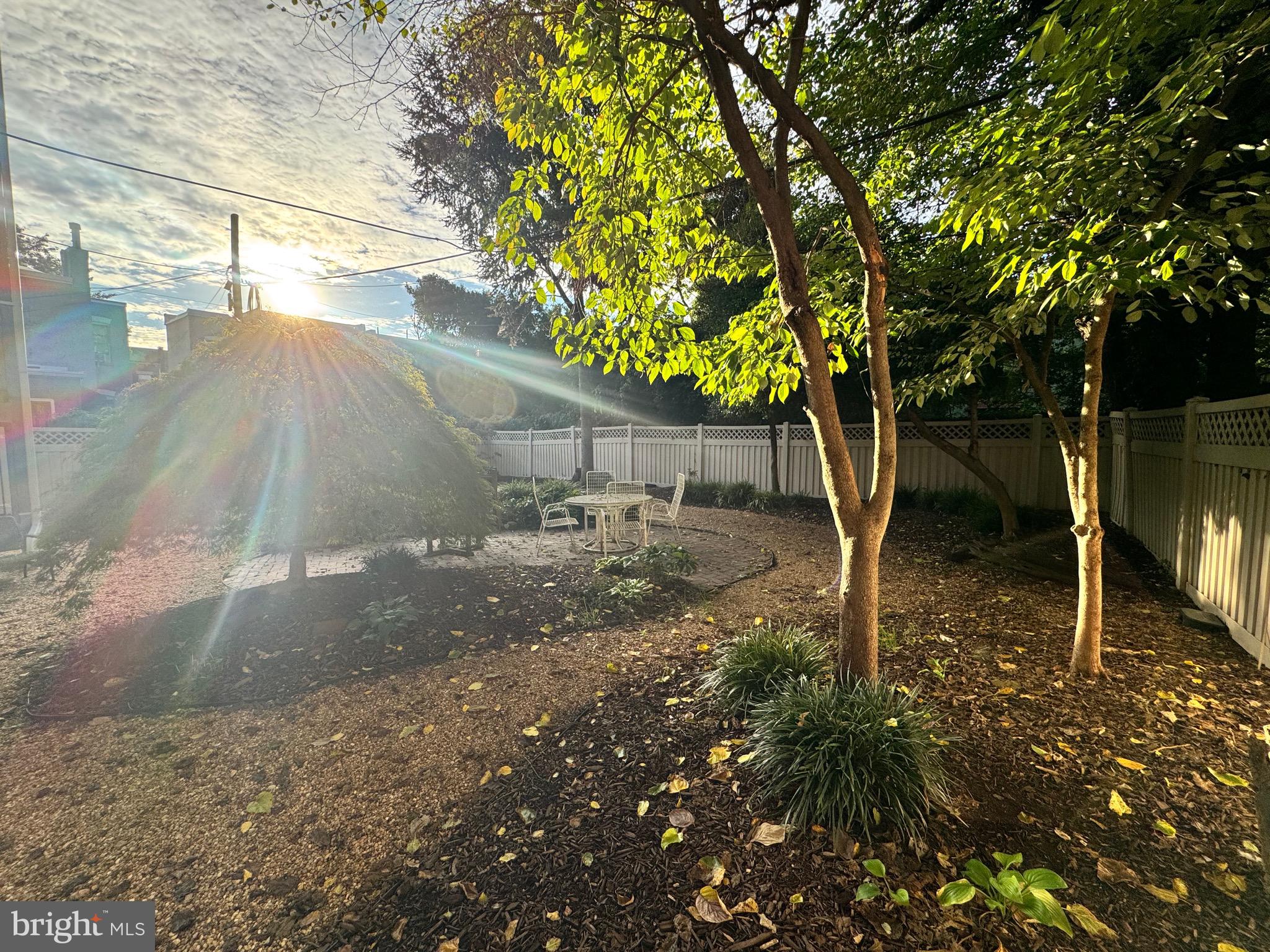 512 U Street Northwest, Unit 3 Washington, DC 20001 - Photo 19 of 26 a view of a yard