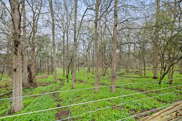 $550,000 | 175 Fawn Ridge Road, Cedar Creek, TX 78612
