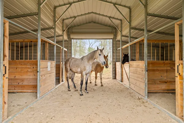 $550,000 | 175 Fawn Ridge Road, Cedar Creek, TX 78612