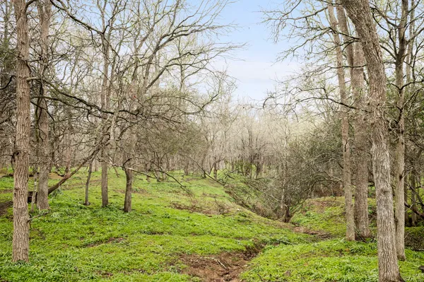 $550,000 | 175 Fawn Ridge Road, Cedar Creek, TX 78612