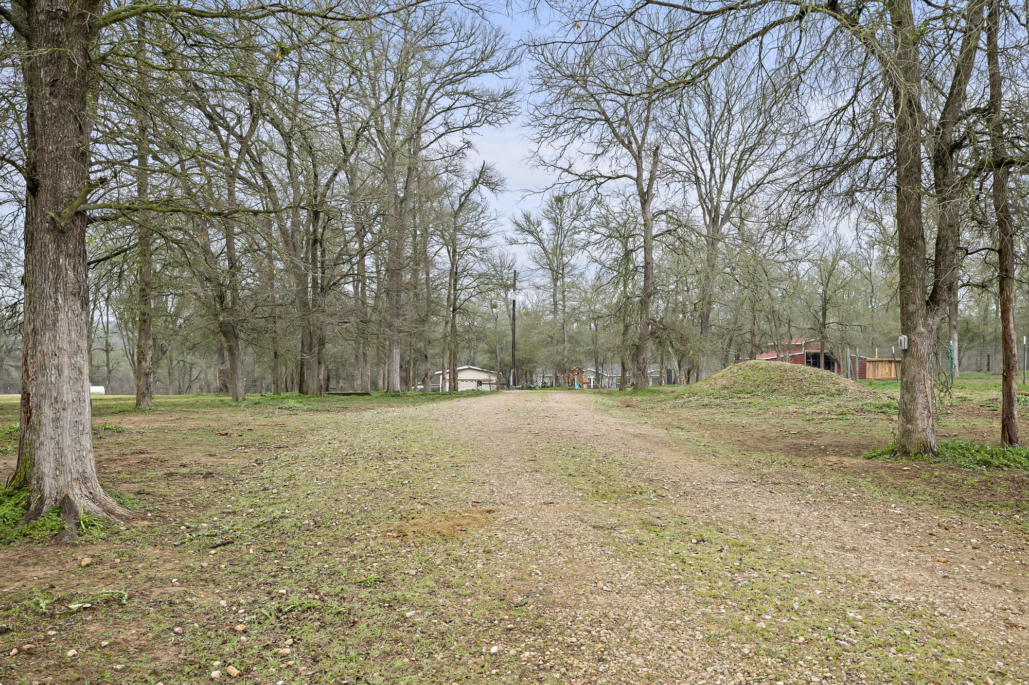 175 Fawn Ridge Road Cedar Creek, TX 78612 - Photo 6 of 34 a view of a yard with trees