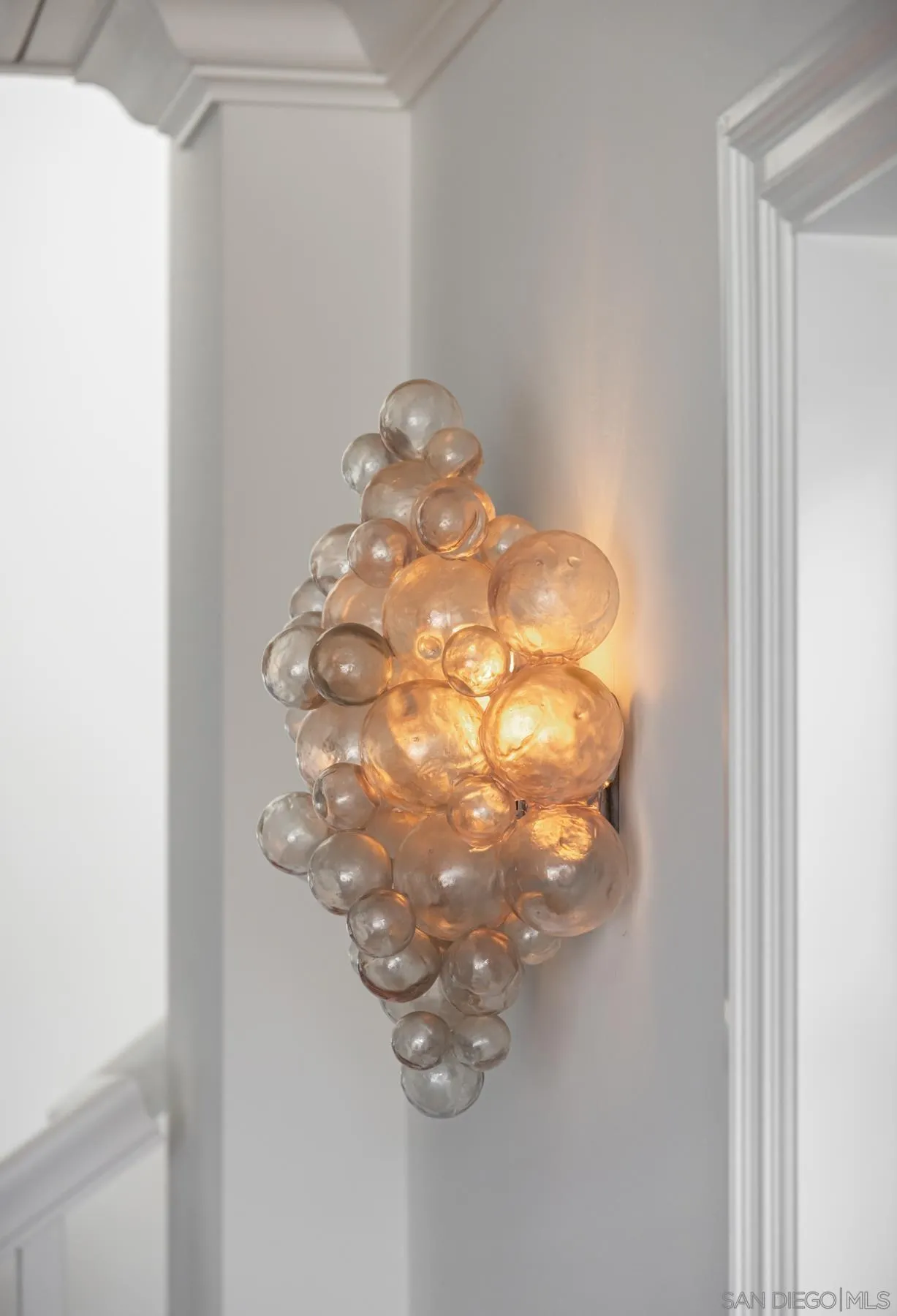 219 27th Street Del Mar, CA 92014 - Photo 26 of 47 a close view of closeup of a plant in a window