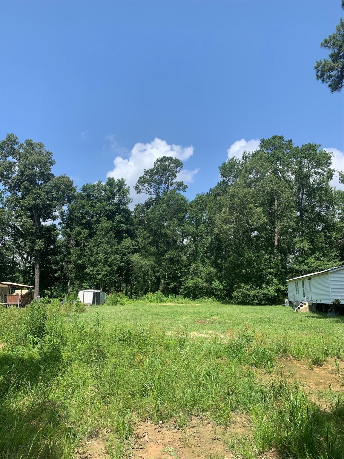 335 County Road 3662 Splendora, TX 77372 - Photo 3 of 18