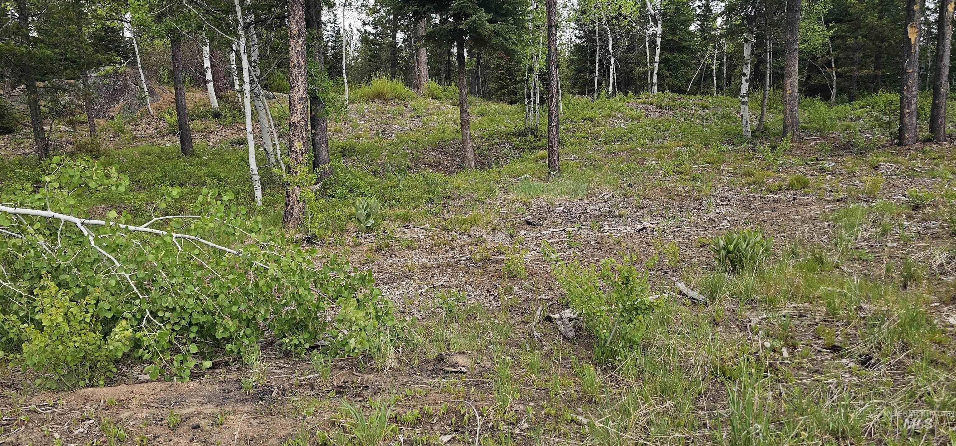 23 Sawtooth Loop Cascade, ID 83611 - Photo 13 of 45