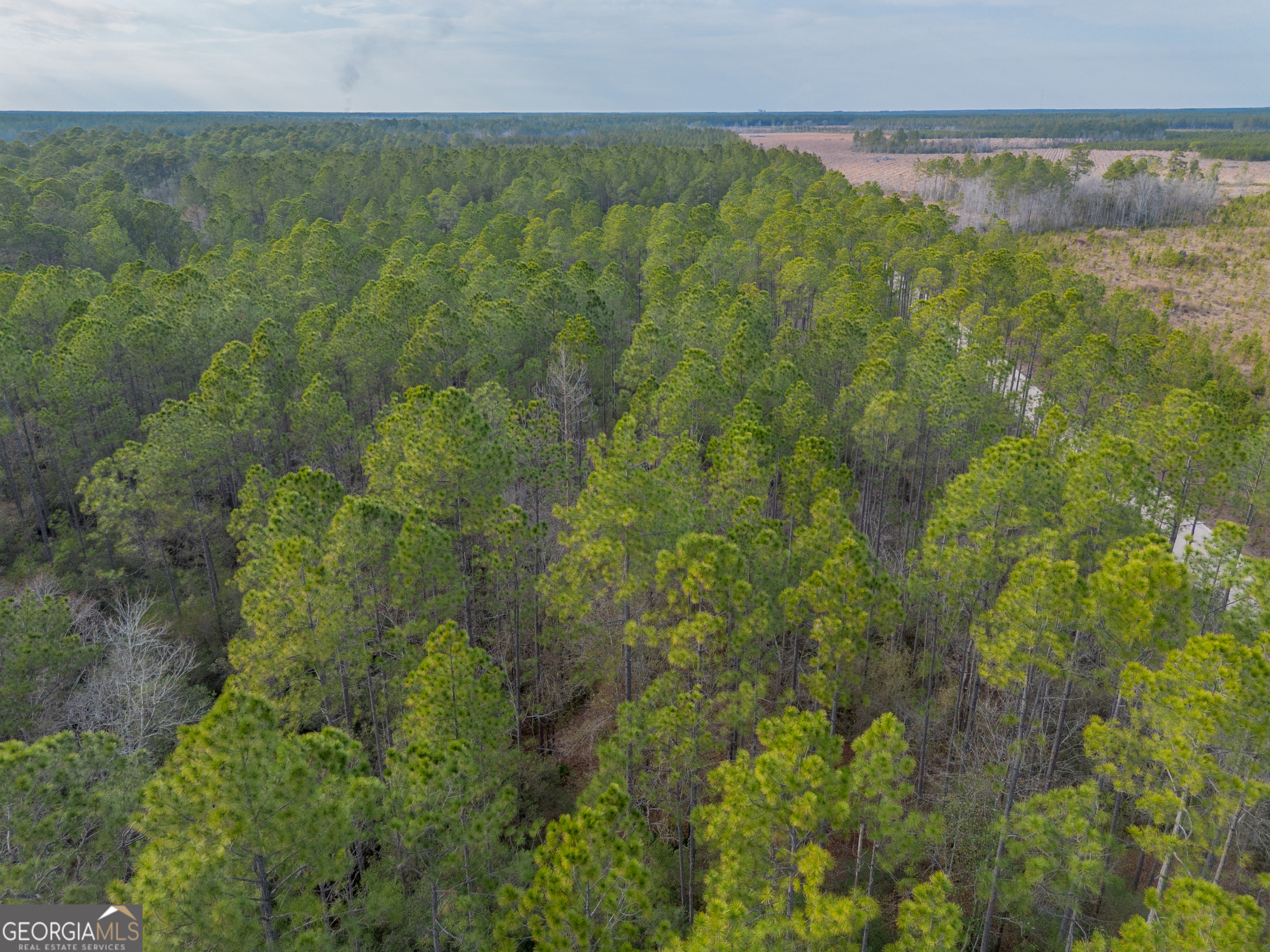 3 Reddish Road Odum, GA 31555 - Photo 29 of 55 a view of a lake and green valley