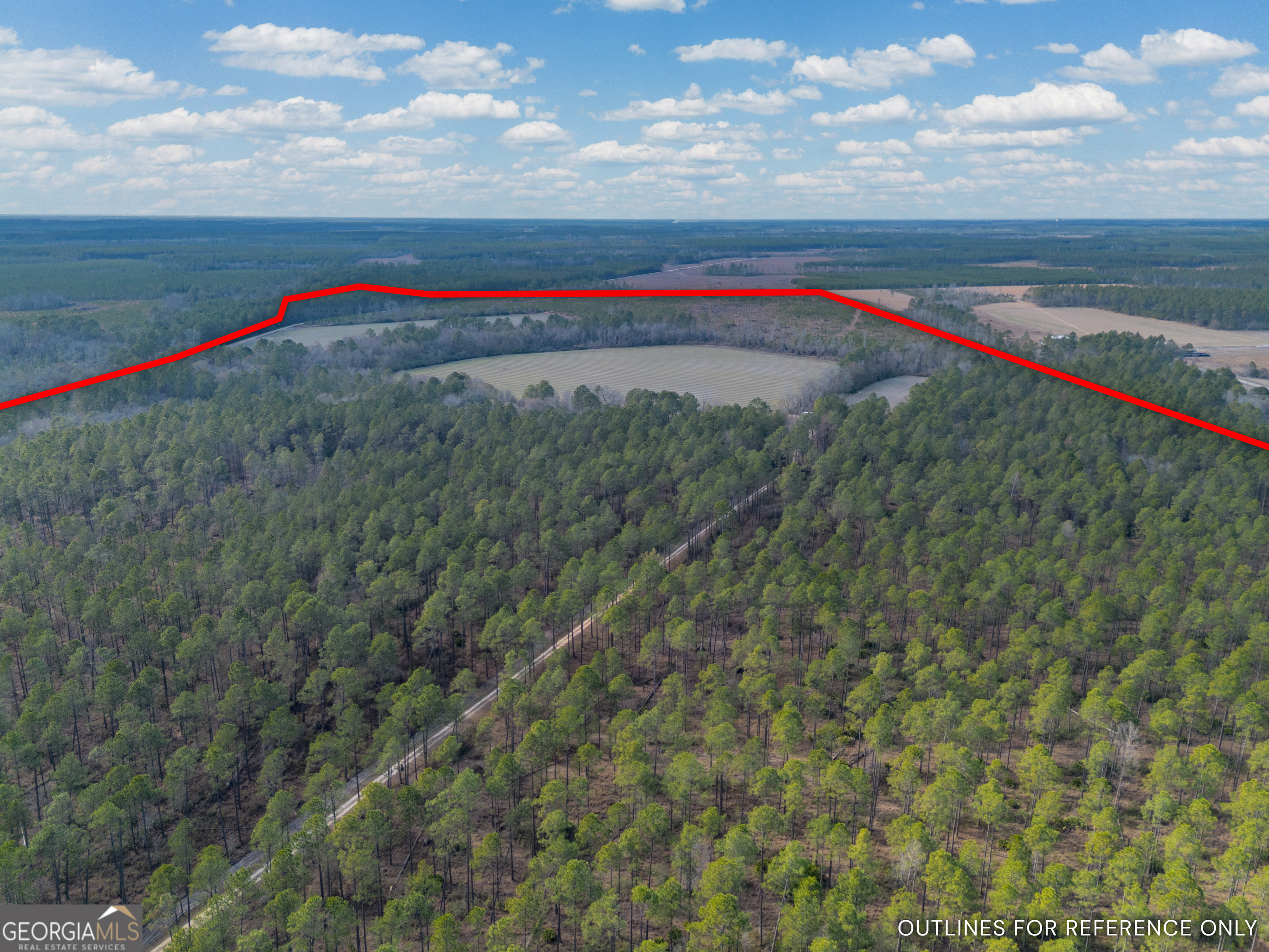 3 Reddish Road Odum, GA 31555 - Photo 4 of 55