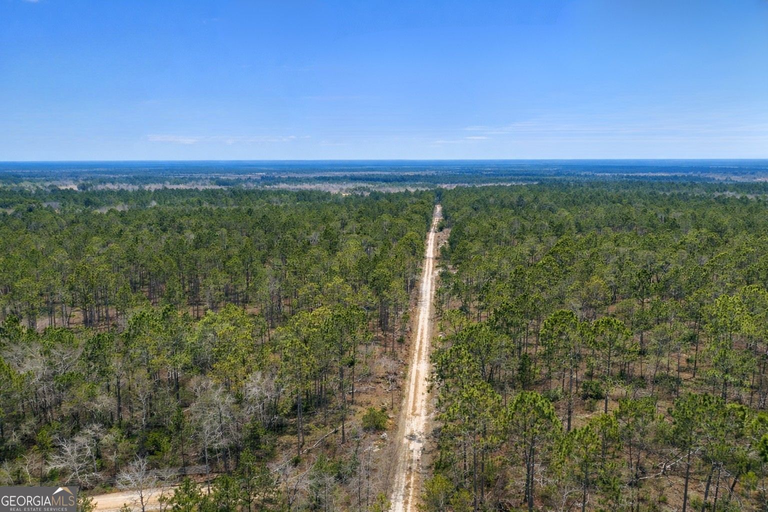 3 Reddish Road Odum, GA 31555 - Photo 45 of 55 a view of a city with lush green forest