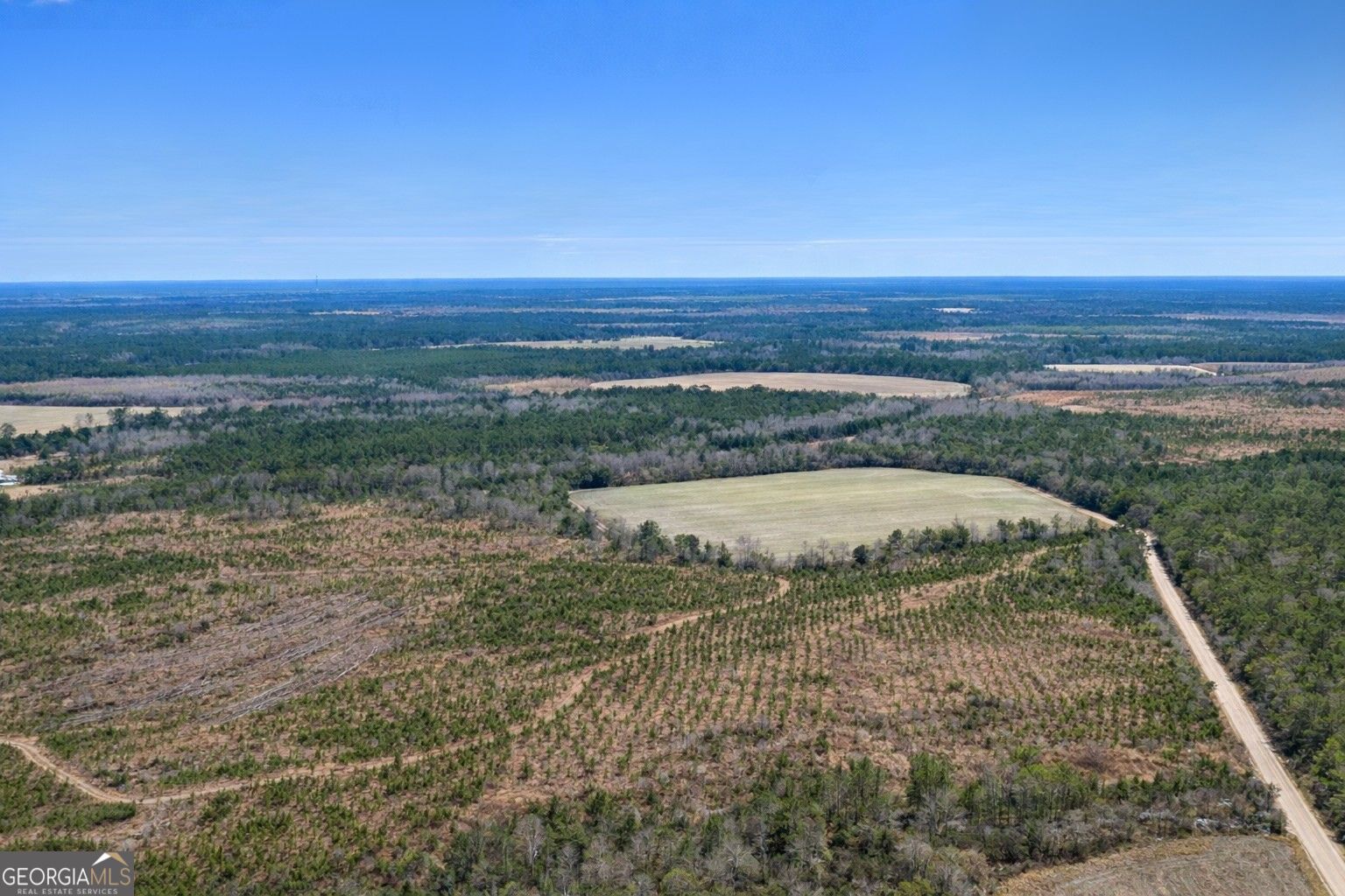 3 Reddish Road Odum, GA 31555 - Photo 5 of 9