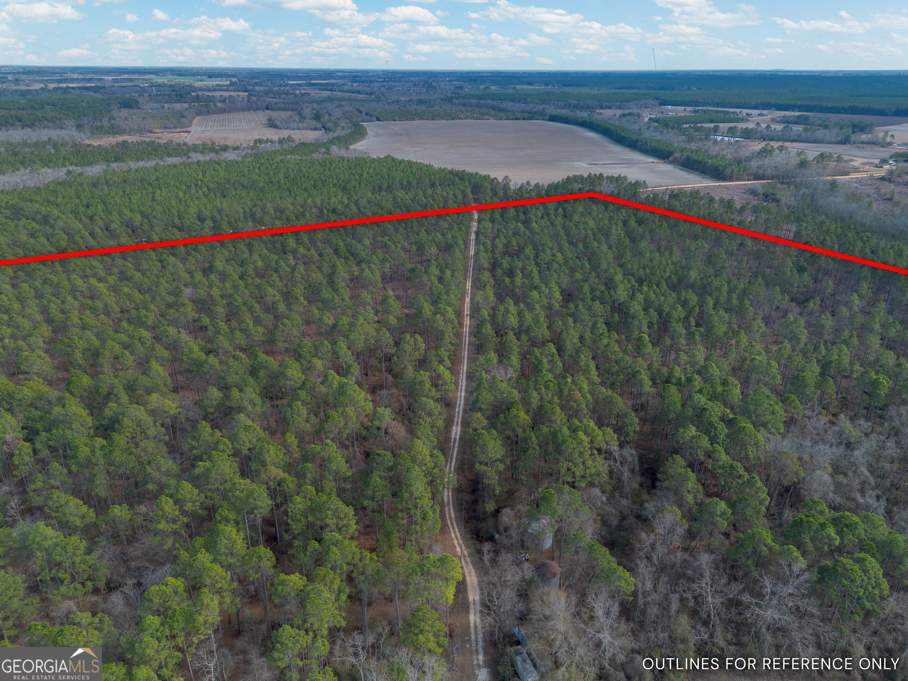 3 Reddish Road Odum, GA 31555 - Photo 7 of 55 a view of a pathway of a yard