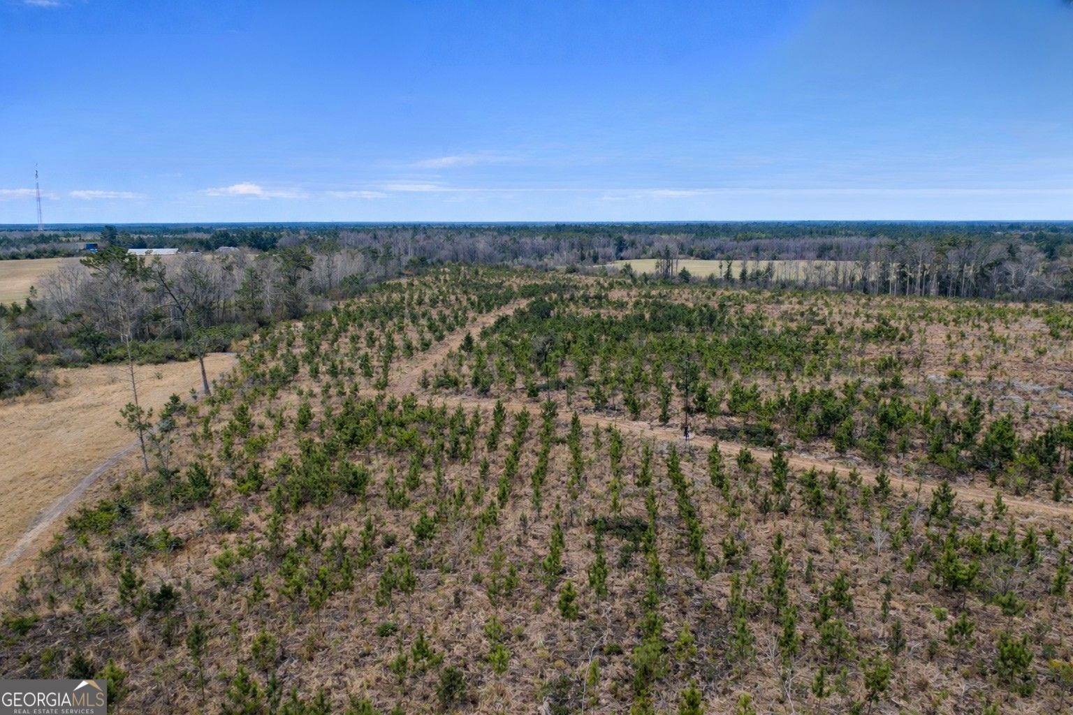 3 Reddish Road Odum, GA 31555 - Photo 7 of 9