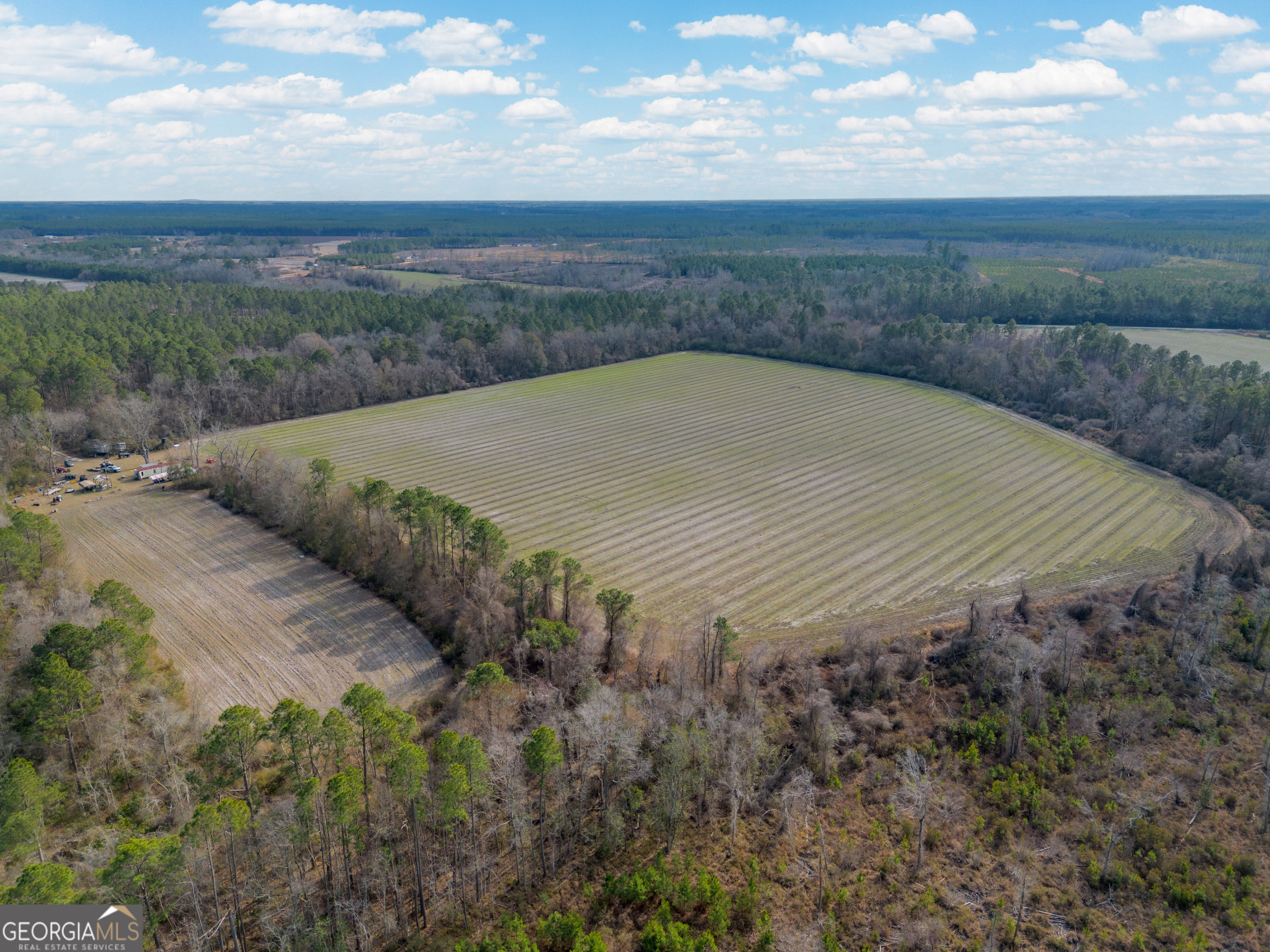 3 Reddish Road Odum, GA 31555 - Photo 9 of 55 a view of a dry yard with green space