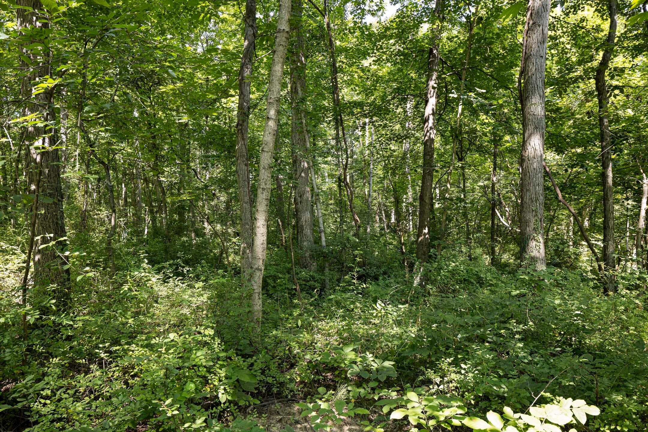 8416 Royalton Road Southwest Lancaster, OH 43130 - Photo 12 of 14 8416 Royalton Road SW-011