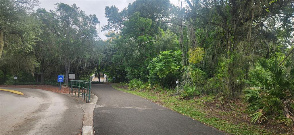 None Street Altamonte Springs, FL 32714 - Photo 4 of 6 a view of a street with trees and bushes