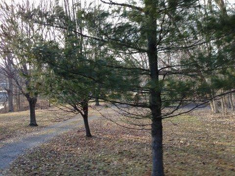 1259 Fogg Road Sparta, KY 41086 - Photo 4 of 30 Gallery Image 4