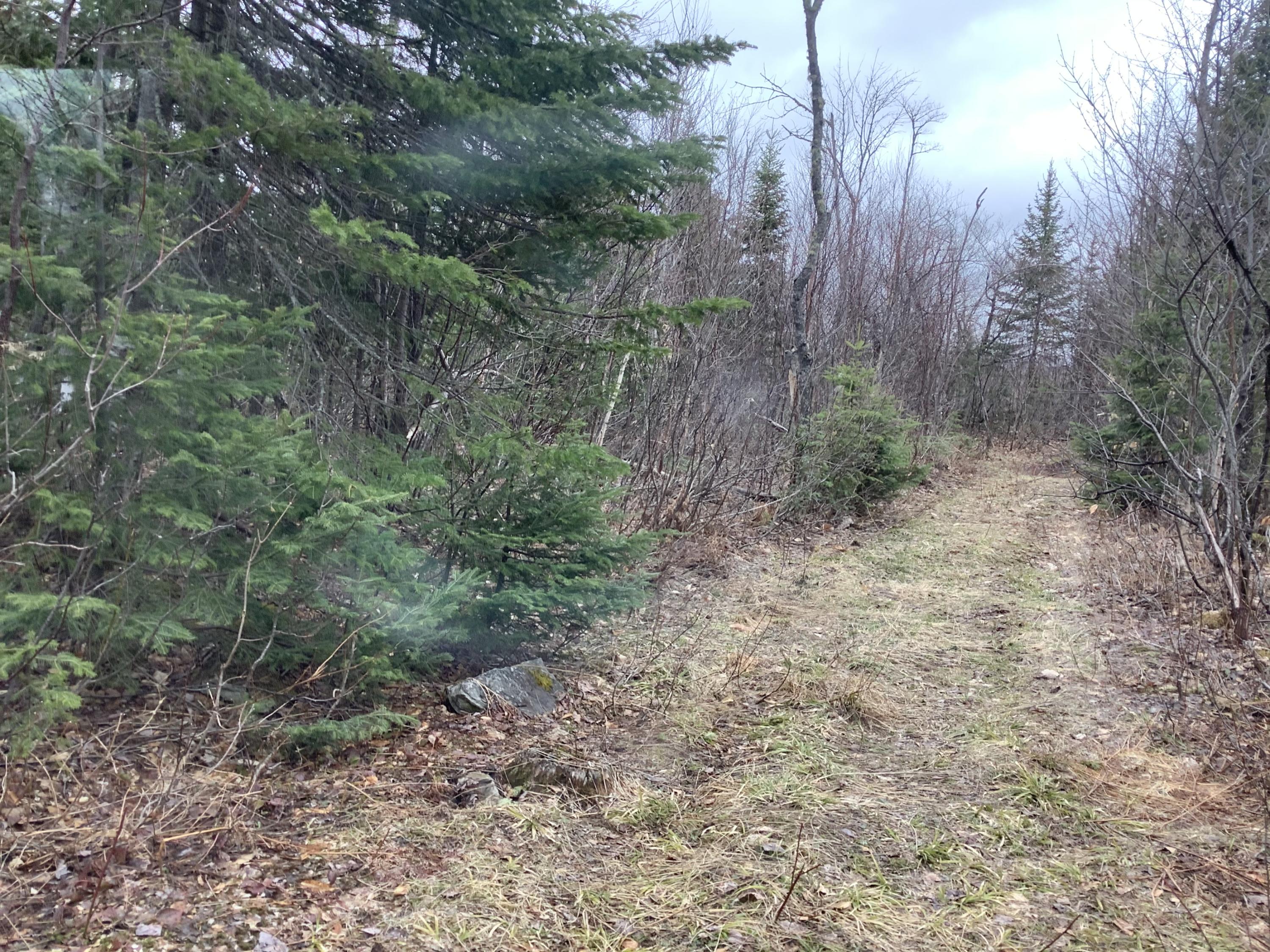 480 Marquis Road Fort Kent, ME 04743 - Photo 6 of 6 D7DFA511-E5F4-4535-8D26-D09D33511A47
