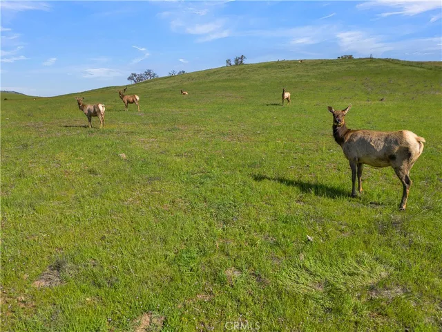 $2,150,000 | 12000 Nacimiento Lake Drive, Bradley, CA 93426