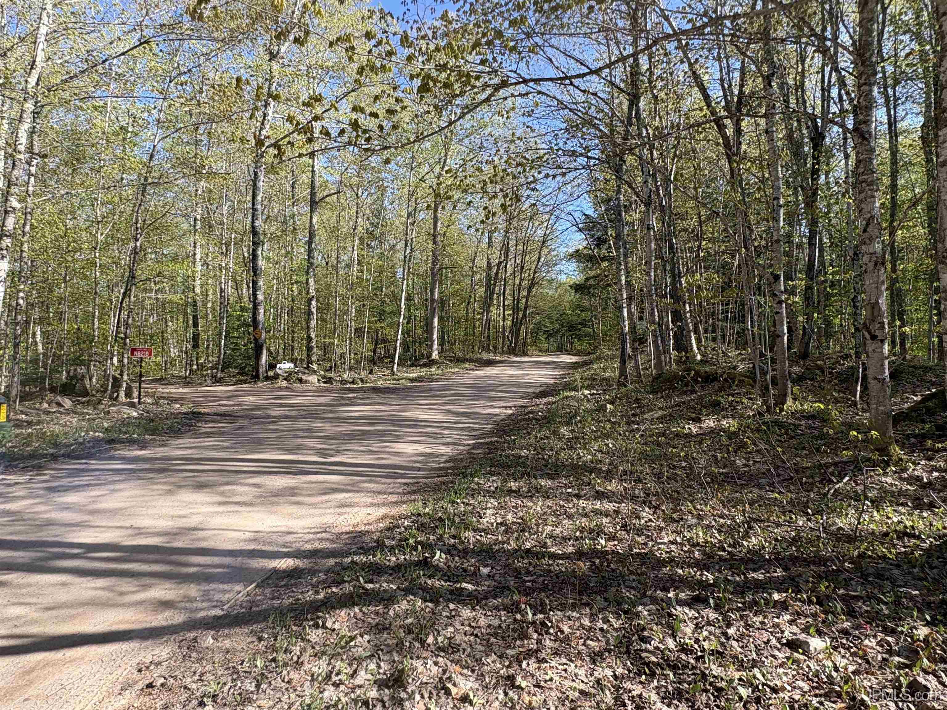 94-acres Peter White Road Deerton, MI 49822 - Photo 15 of 24
