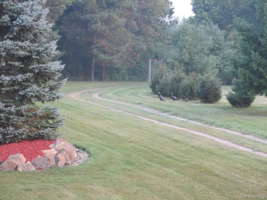 8130 Brophy Road Howell, MI 48855 - Photo 27 of 28 Brophy 8130 (33).JPG