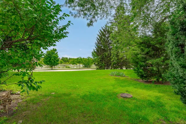 a view of a green yard with a lake