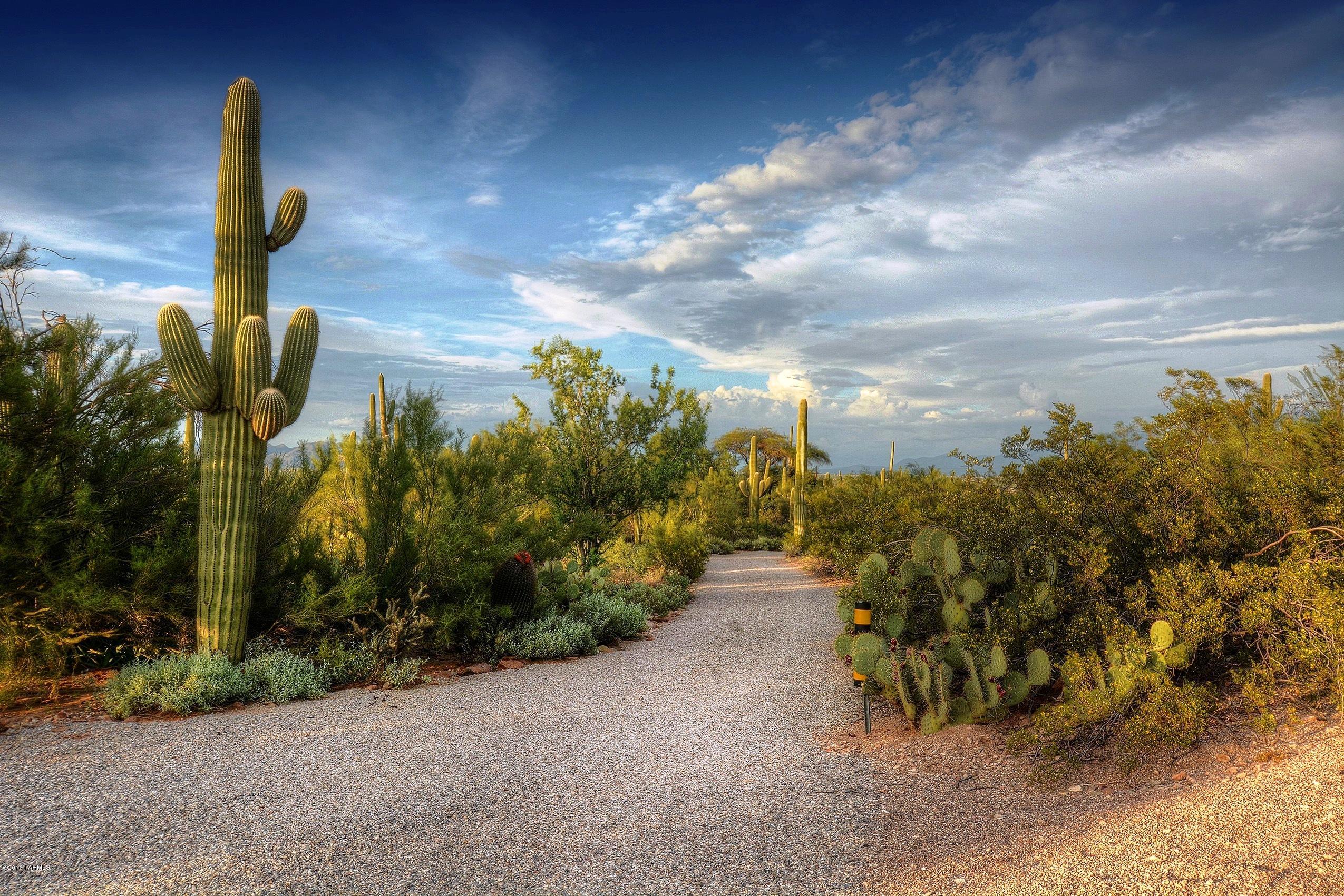 6851 North Wade Road Tucson, AZ 85743 - Photo 39 of 41 Gallery Image 39