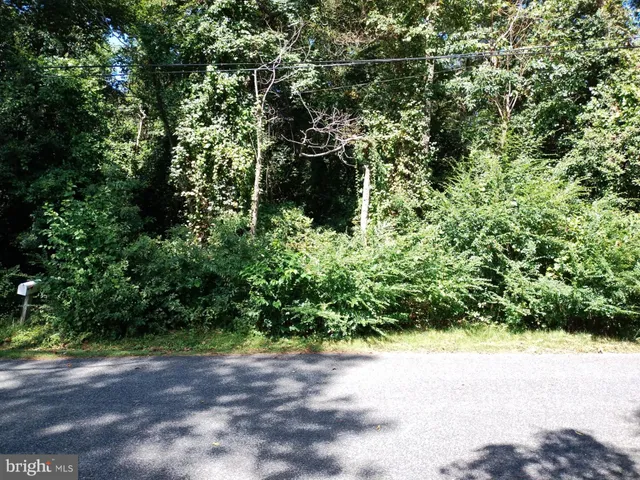 a view of a yard with plants and a trees