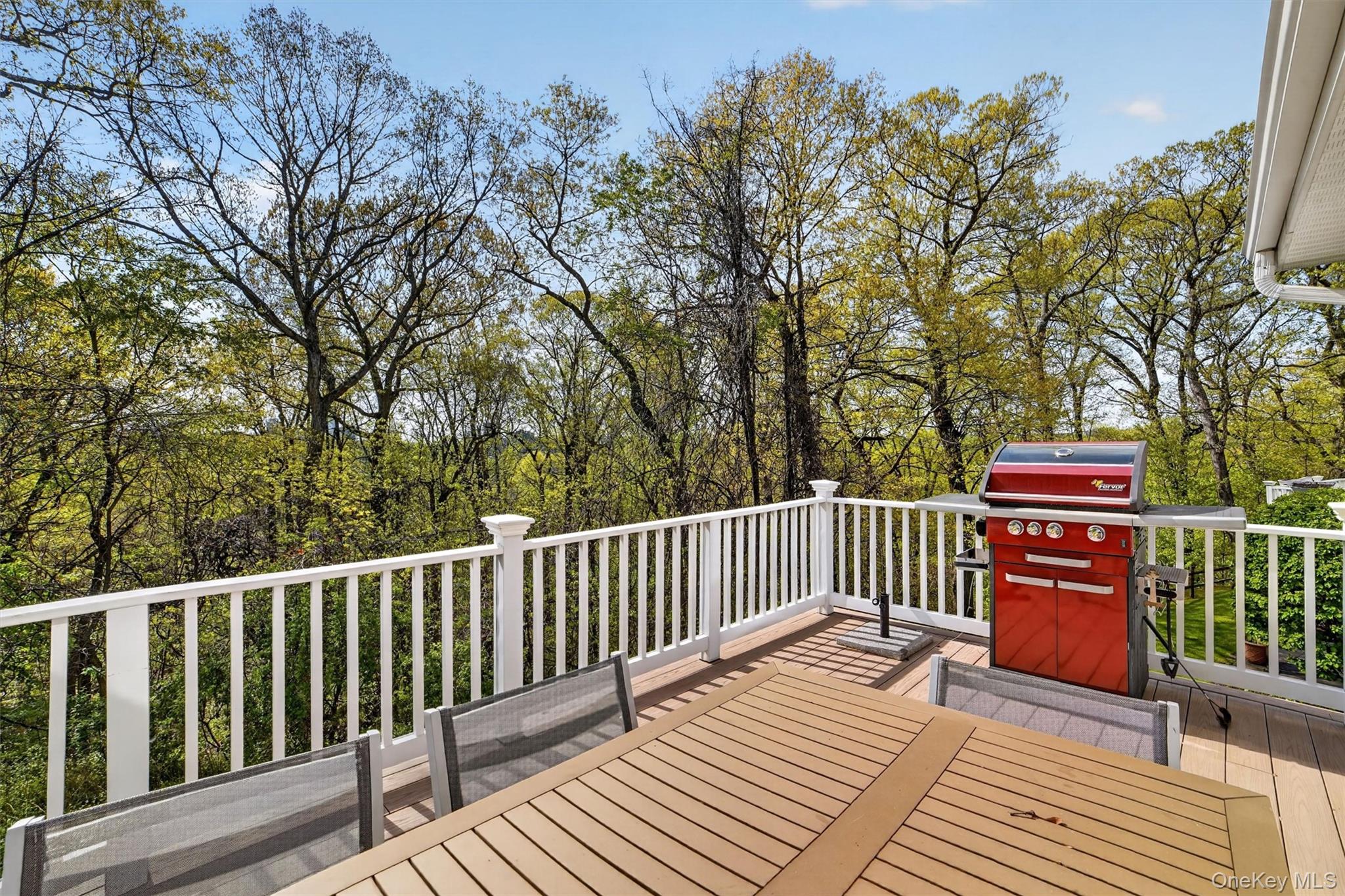 107 Winding Ridge Road, Unit 107 White Plains, NY 10603 - Photo 15 of 50 Deck