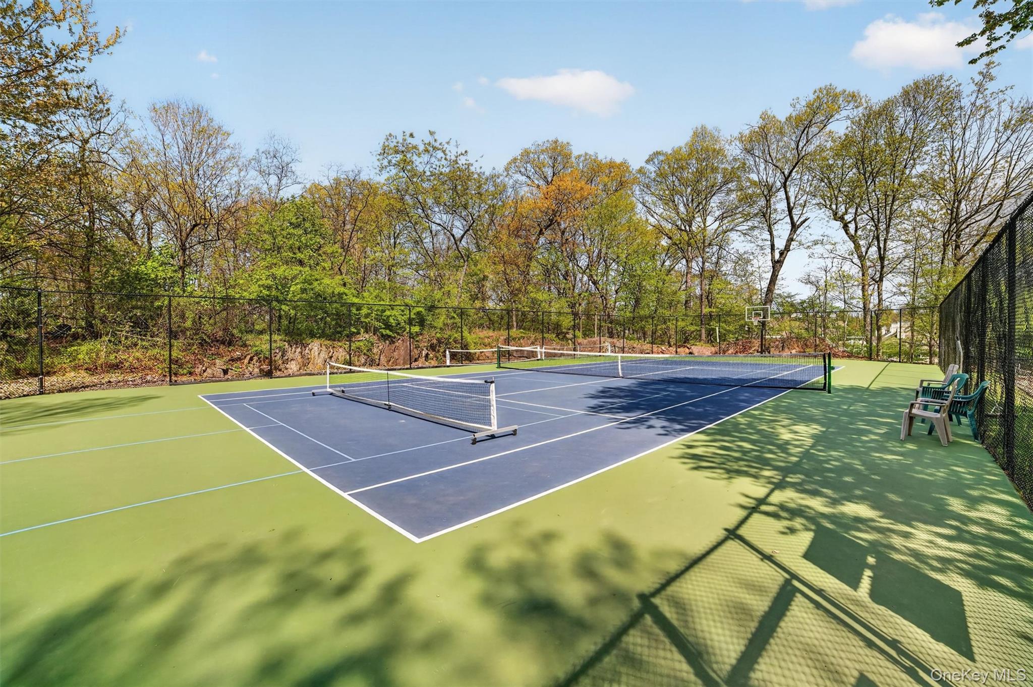 107 Winding Ridge Road, Unit 107 White Plains, NY 10603 - Photo 44 of 50 Tennis