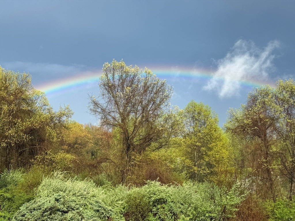 121 Rocky Hill Road Hadley, MA 01035 - Photo 32 of 41