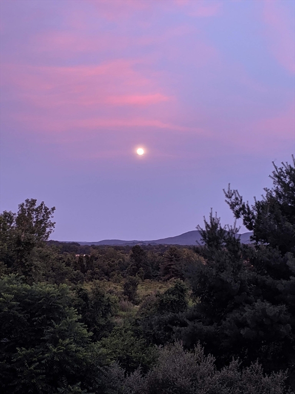 121 Rocky Hill Road Hadley, MA 01035 - Photo 33 of 41