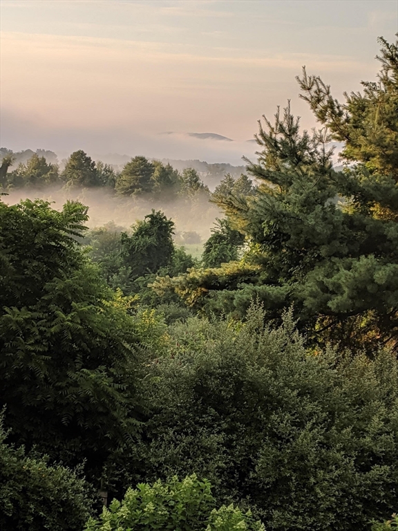 121 Rocky Hill Road Hadley, MA 01035 - Photo 34 of 41