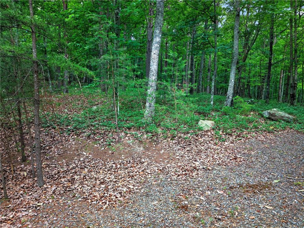 0 Ridgeside Court Jasper, GA 30143 - Photo 20 of 22 a view of a forest with a trees