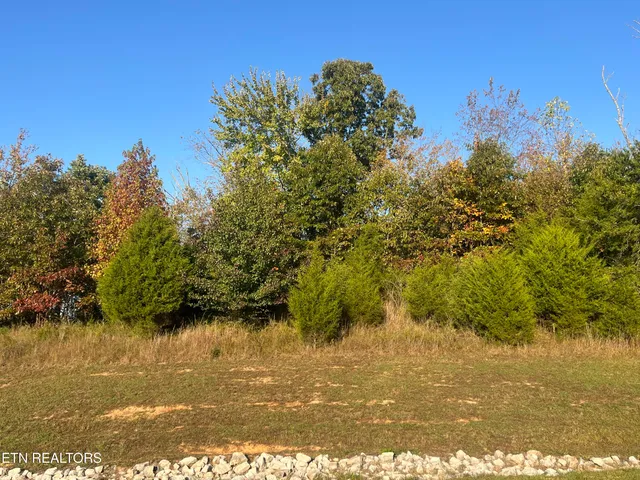$29,900 | Lot 232 Star Lane, Rockwood, TN 37854