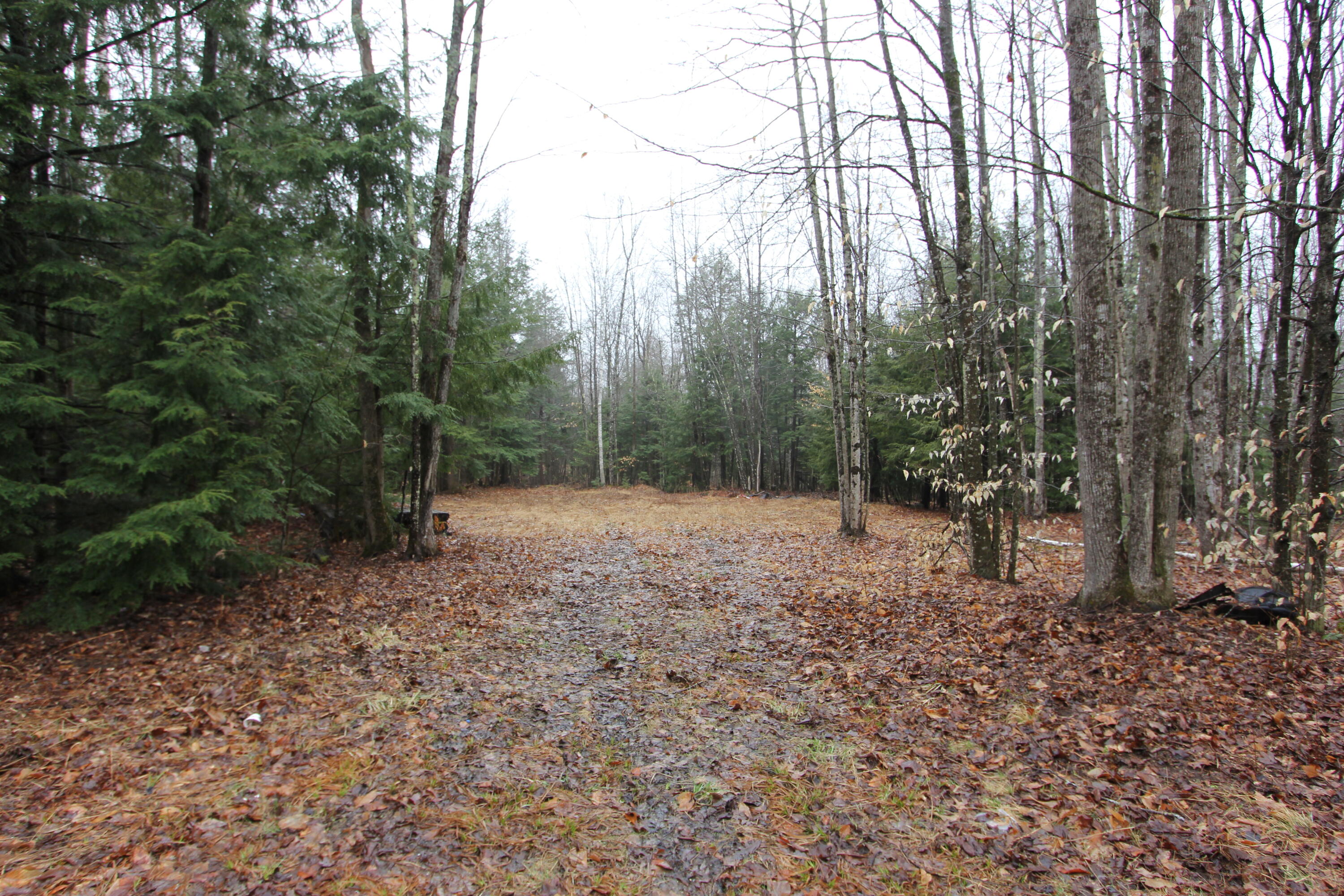 Lot 10 Meadow Hill Road Greene, ME 04236 - Photo 1 of 3 IMG_8528