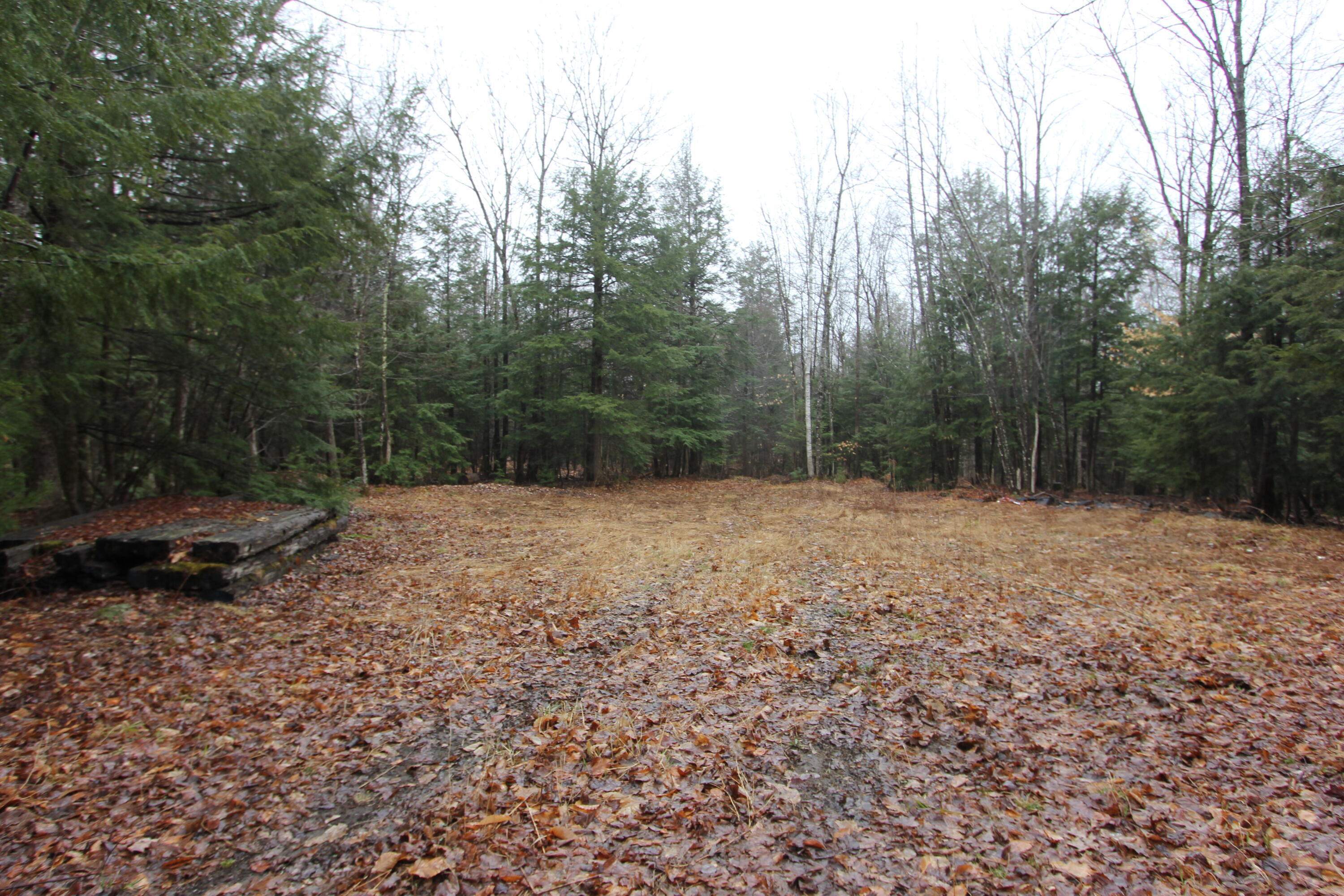 Lot 10 Meadow Hill Road Greene, ME 04236 - Photo 3 of 3 IMG_8530