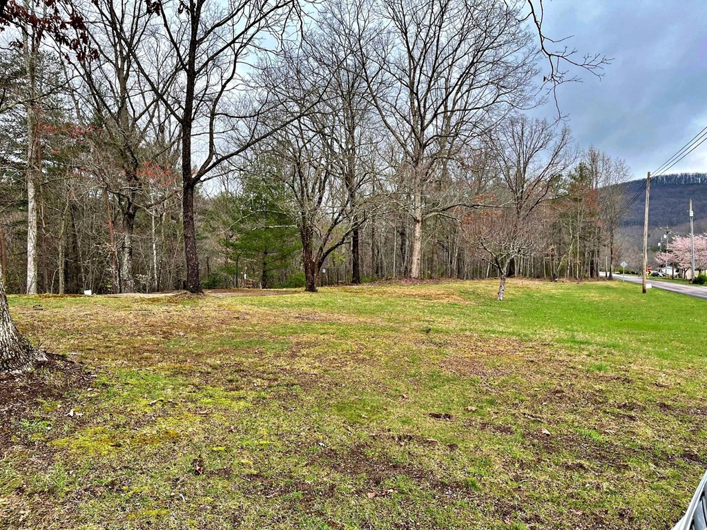 116 Upper Whetstone Road Harriman, TN 37748 - Photo 8 of 40 Gallery Image 8