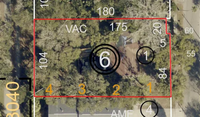 a picture of flowers