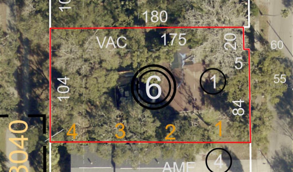 1136 Douglas Avenue Dunedin, FL 34698 - Photo 4 of 9