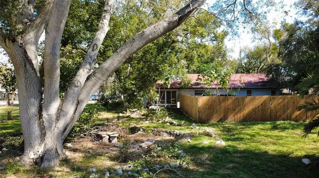 a view of a yard with plants
