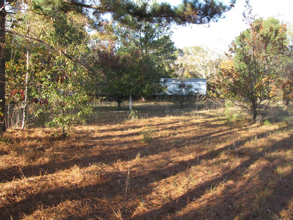 6211 River Road Waynesboro, GA 30830 - Photo 2 of 4