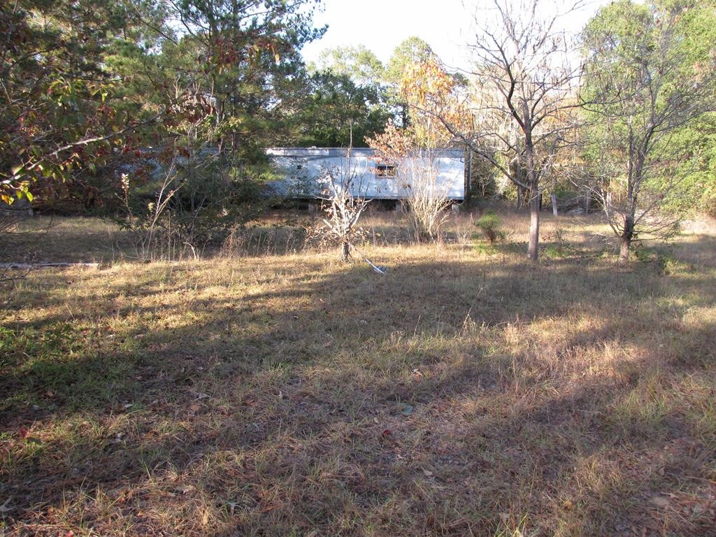 6211 River Road Waynesboro, GA 30830 - Photo 4 of 4