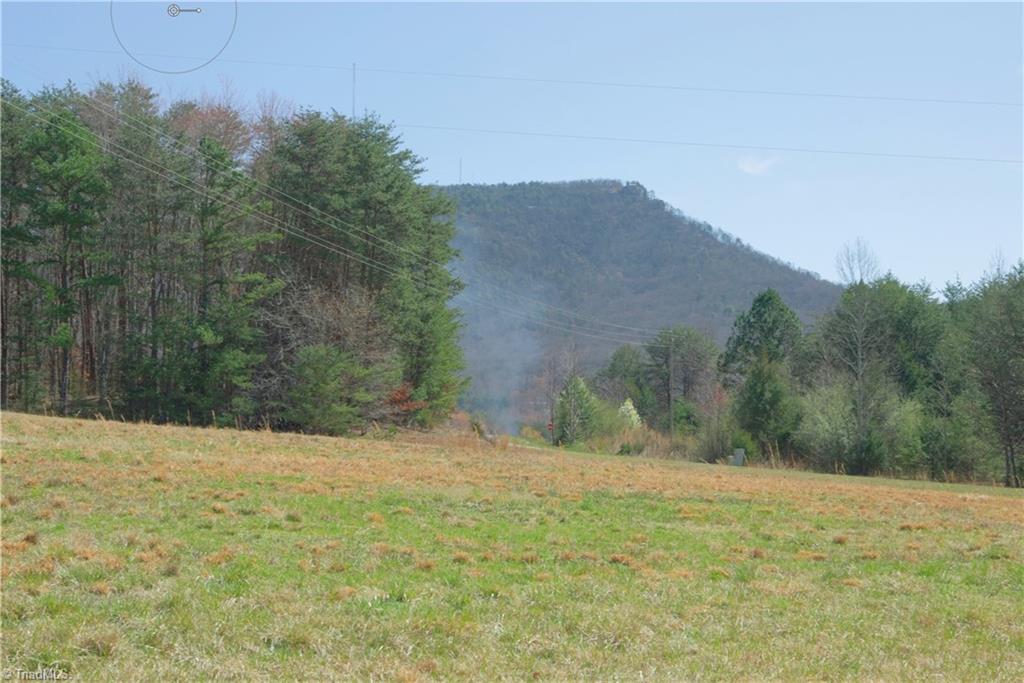 1-2 Flat Rock Road Pinnacle, NC 27043 - Photo 14 of 28