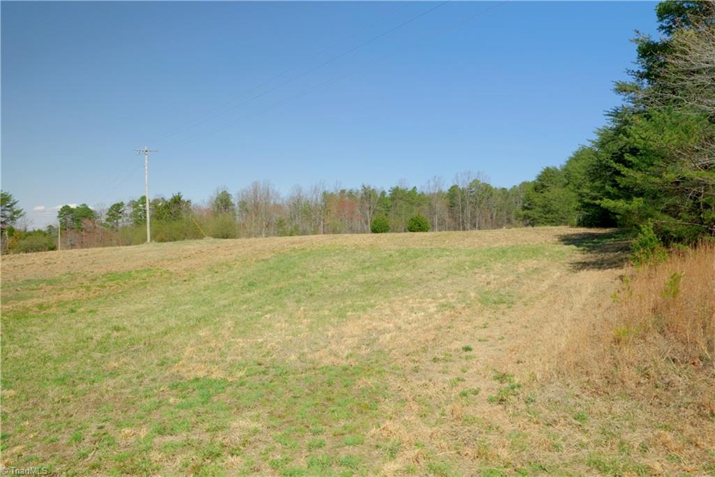 0 Flat Rock Road Pinnacle, NC 27043 - Photo 17 of 32